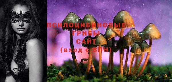 МДПВ Белокуриха