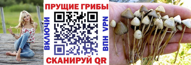 Галлюциногенные грибы MAGIC MUSHROOMS  кракен ссылки  Озёрск  купить закладку 